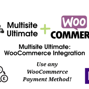 Multisite Ultimate Woocommerce Integration- use any woocommerce payment method